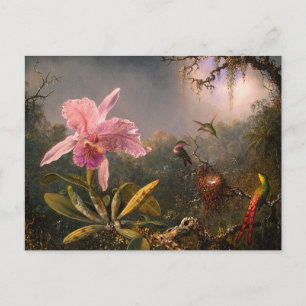 Postkarte: Orchid und Hummingbirds Postkarte