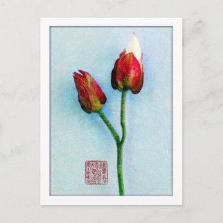 Postkarte Orientalischer Buds
