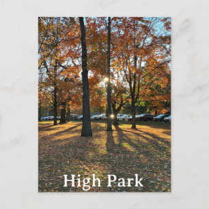 Postkarte: Parco delle camelie Locarno Postkarte