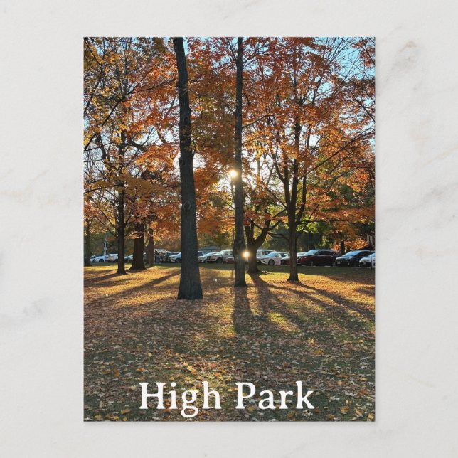Postkarte: Parco delle camelie Locarno Postkarte (Vorderseite)