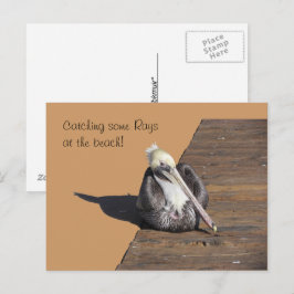 Postkarte - Pelican am Pier