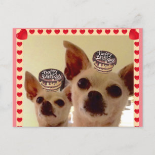 POSTKARTE- POSTKARTE