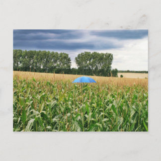 Postkarte - Qualitätskontrolle