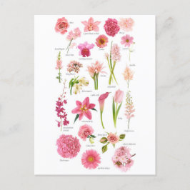 Postkarte Rosa Blumen