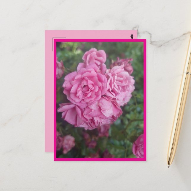 Postkarte rosa Rose (Vorderseite/Rückseite Beispiel)