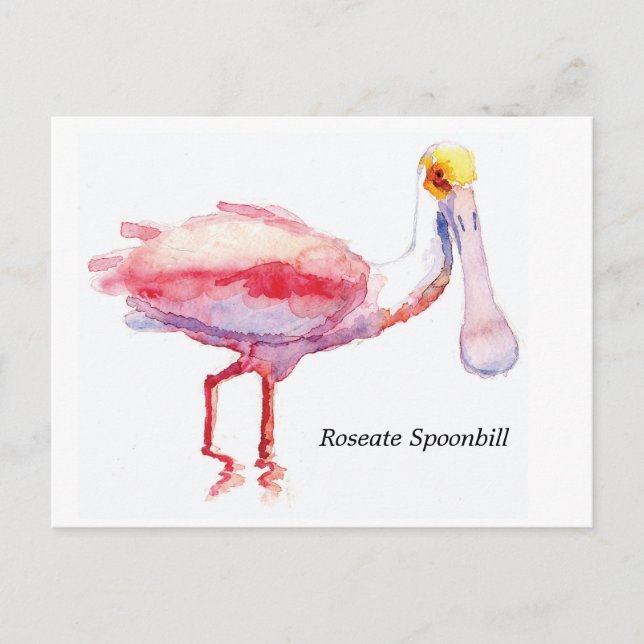 Postkarte Roseate Spoonbill (Vorderseite)
