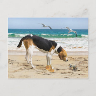 Postkarte "Sally & The Crab"