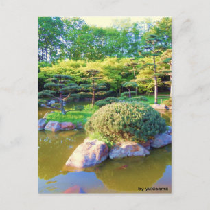 Postkarte - Schildkröten Insel