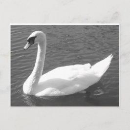 Postkarte - Schwung in Schwarz und Weiß