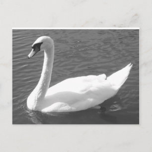 Postkarte - Schwung in Schwarz und Weiß
