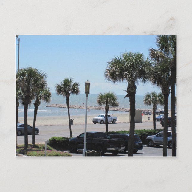 Postkarte: Seawall Boulevard - Galveston, Texas Postkarte (Vorderseite)