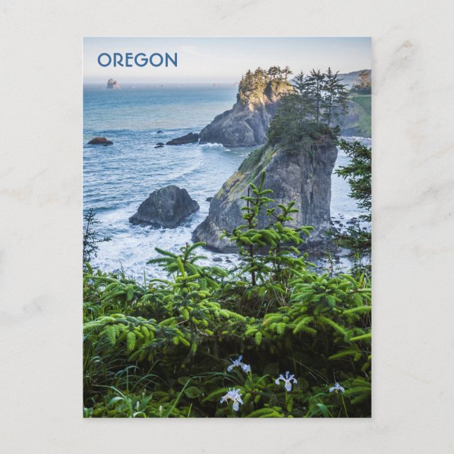 Postkarte: Seespeicher und Iris (Portrait) Postkarte (Vorderseite)