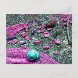 Postkarte "SnailShell"