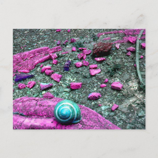 Postkarte "SnailShell" (Vorderseite)