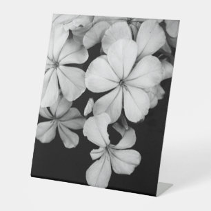 Postkarte Sockelschild