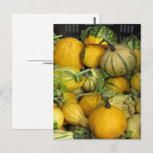 Postkarte - SommerSquash
