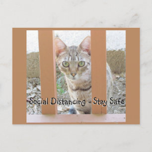Postkarte - Sozialer Abstand gestreifte Katze