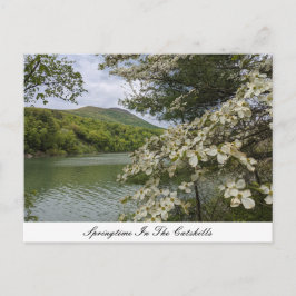 Postkarte "Springtime in Catskills"