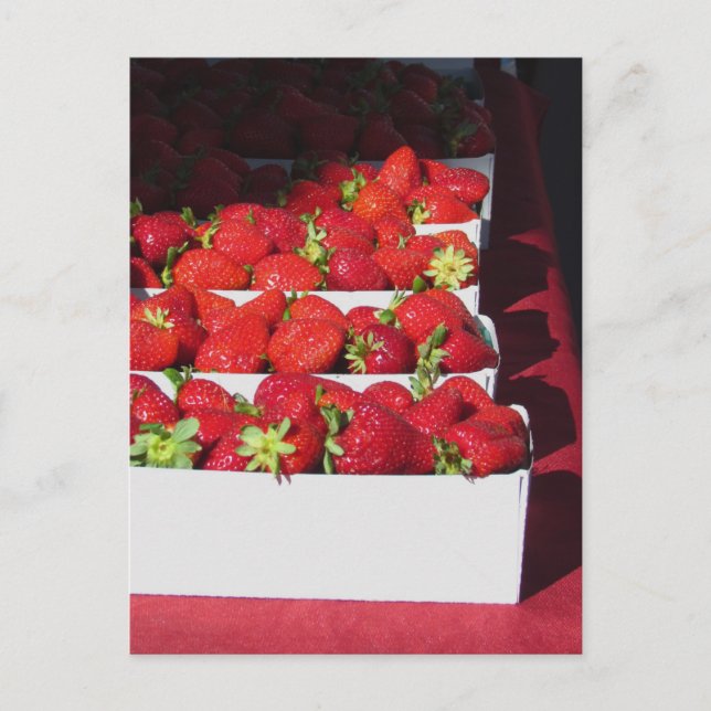 Postkarte - Srawberry-Körbe (vrt) (Vorderseite)