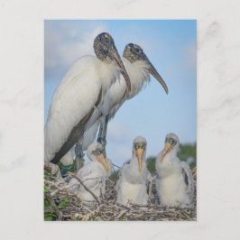 Postkarte "Stork Family"