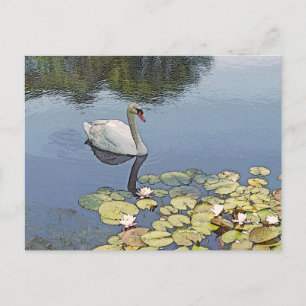 Postkarte, "SWAN GLIDING AMONG LILY PADS" Postkarte