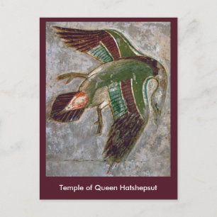 Postkarte: Tempel der Königin Hatshepsut Postkarte
