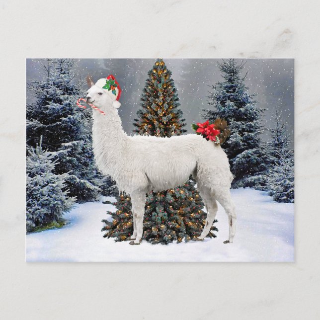 Postkarte "The Christmas Llama" (Vorderseite)