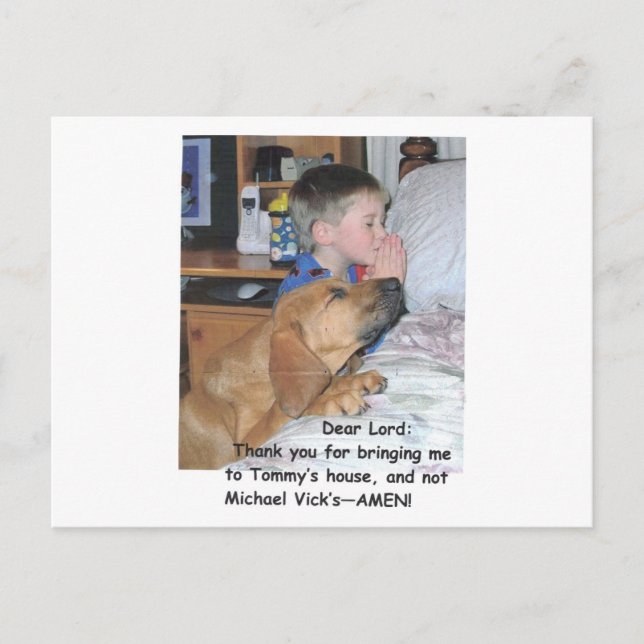 Postkarte - Tierliebhaber (Vorderseite)