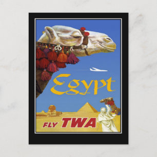 Postkarte Vintage Reise Ägypten Kamel