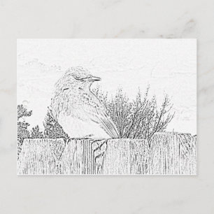 Postkarte - Vogel auf Zaun zum Ausmalen