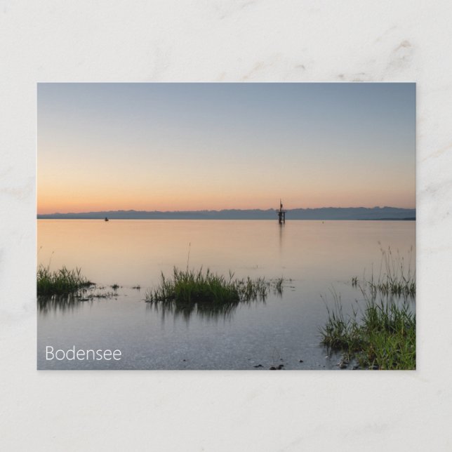Postkarte vom Bodensee mit Alpen (Vorderseite)