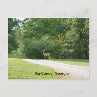Postkarte von Big Canoe, Georgia