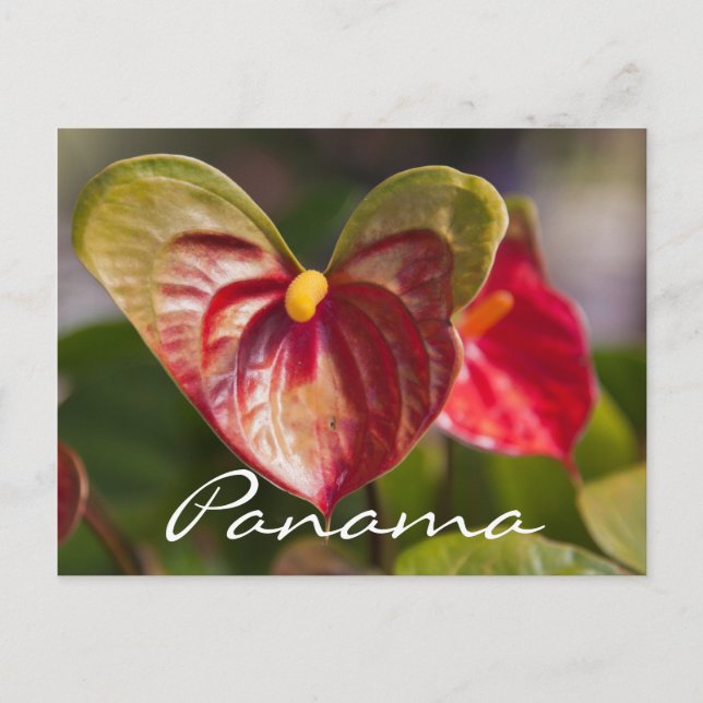 Postkarte von Boquete, Panama (Vorderseite)