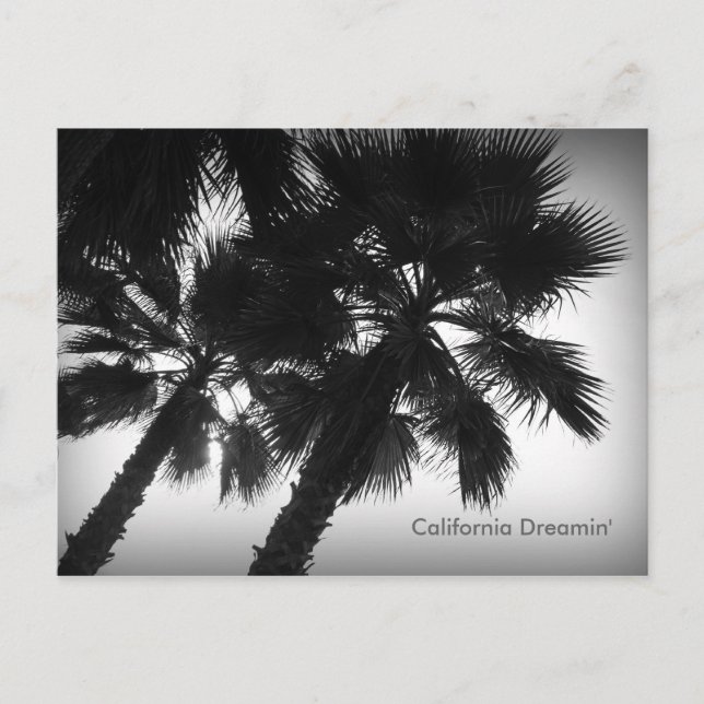 Postkarte von California Dreamin' Palmen (Vorderseite)