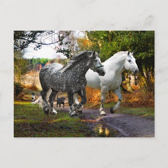 Postkarte "Von der Wiese" (Vorderseite)