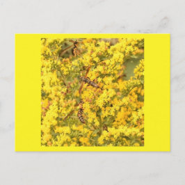 Postkarte, Wespen auf Goldene Stange, hellgelb Postkarte