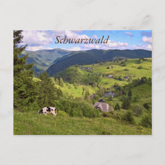 Postkarte: Wiesen und Kuh mit Panoramaait Postkarte