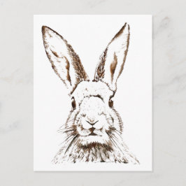 Postkarte - Wilder Hase
