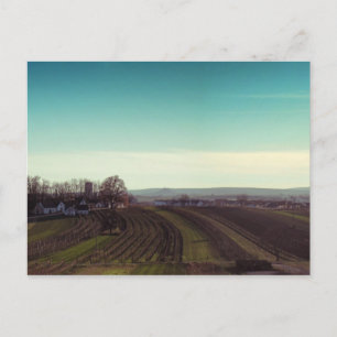 Postkarte "Winterkalt"