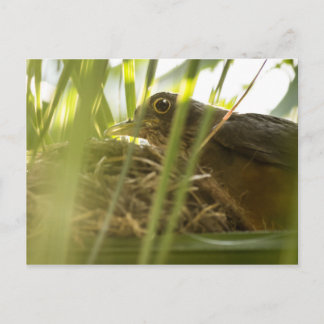 Postkarte - wissen | Nº11