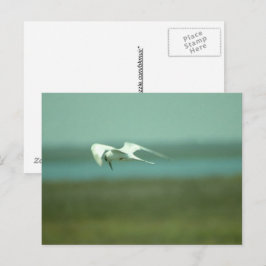 Postkarte - Zehn im Flug