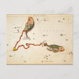 Postkarte "Zodiac Sign: Pisces"