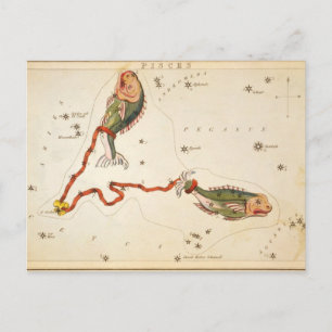 Postkarte "Zodiac Sign: Pisces"