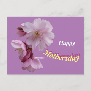 Postkarte zum Geburtstag mit rosa Prunusblüten