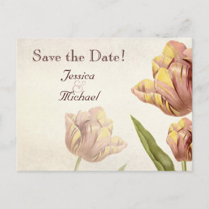 Postkarte zur Vorabanzeige der Pink Parrot Tulpe