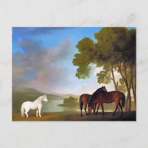 Postkarte: Zwei Bucht-Mare und ein grauer Pony Postkarte