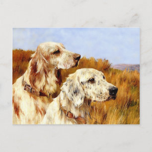 Postkarte: Zwei Setter von Arthur Wardle Postkarte