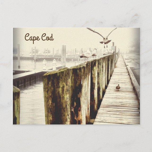 Postkarten aus Cape Cod (Seagull-Hafen) (Vorderseite)