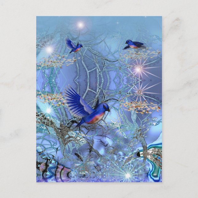 Postkarten Blaue Vögel (Vorderseite)