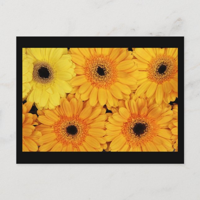 Postkarten-Blume-6 Postkarte (Vorderseite)